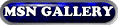 msn gallery